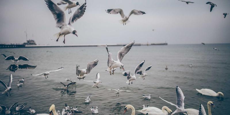 智能合约生态全景图：一图看懂产业格局